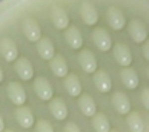 WII_061210_sm